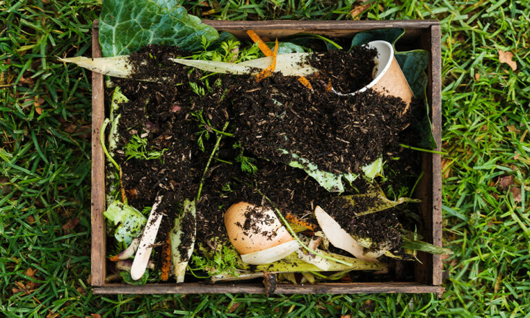 A bed of nutrient-rich fertiliser with compostable materials, like fruit and vegetable scraps, on top. The compostable materials are sitting in a brown paper compostable bag to the right of the frame.