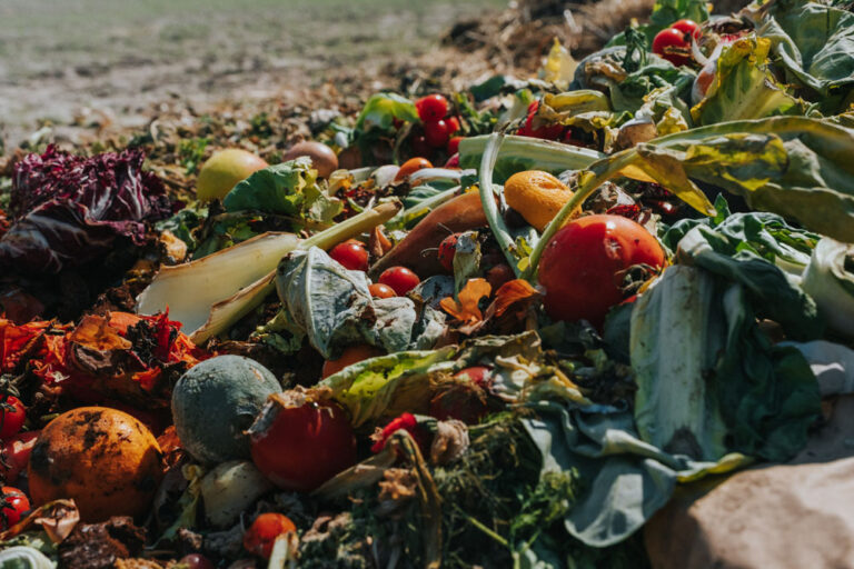 Pile of bio waste on a vegetable farm