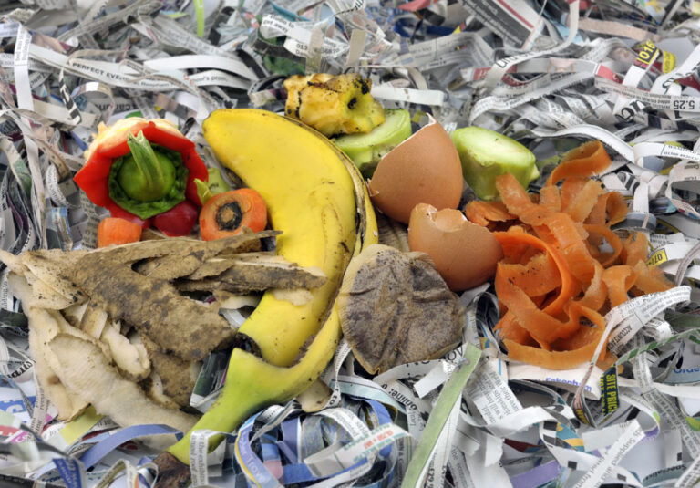 Composting materials comprising fruit and vegetable kitchen food waste with shredded newspaper.